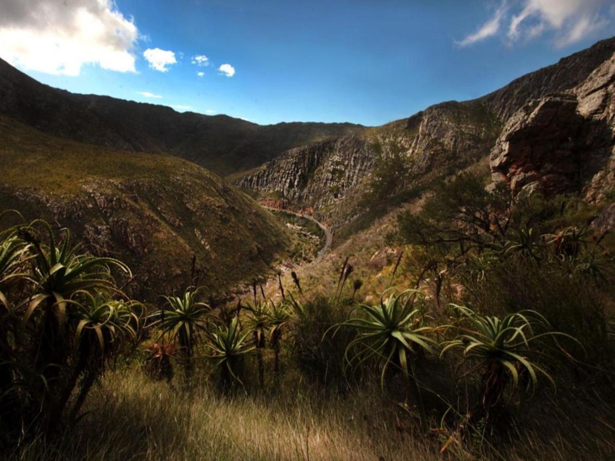 Karoo Art Hotel Barrydale Exteriér fotografie